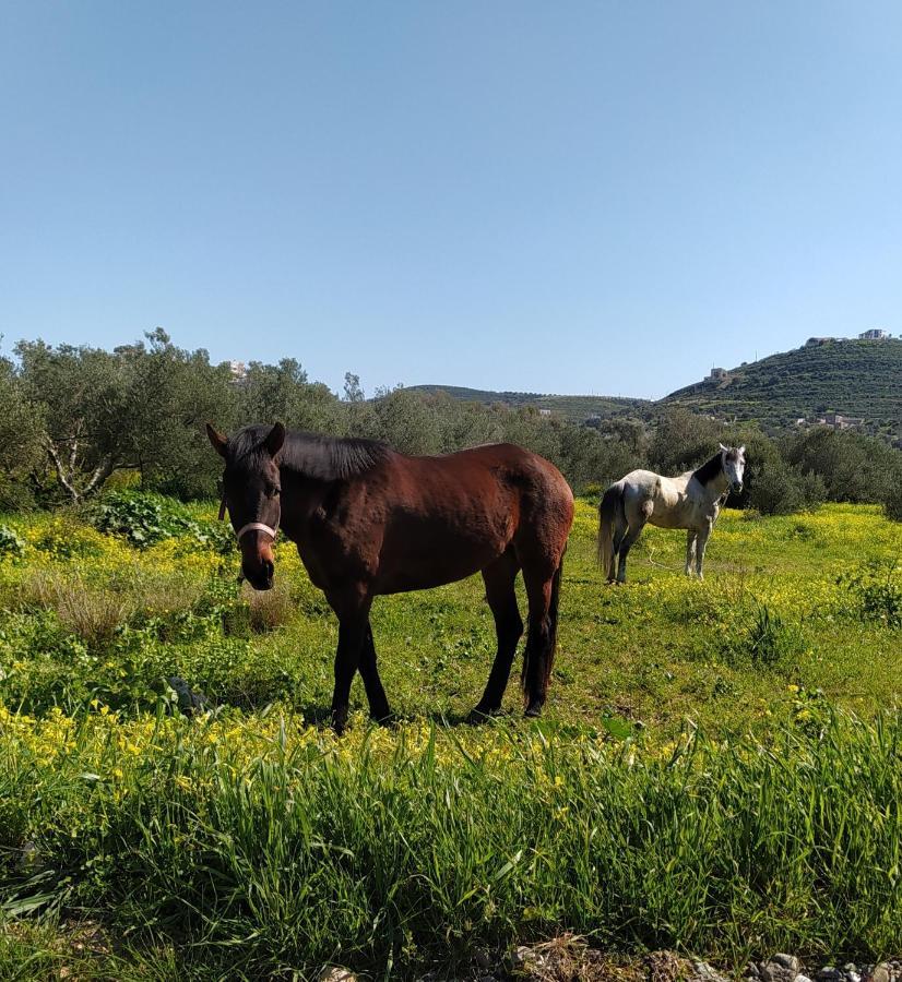 Myparadise-Farm Villa In The Centre Of South Crete Kalamaki  Exterior photo